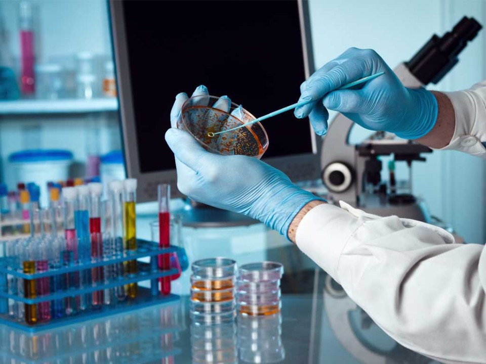 Laboratory Solutions